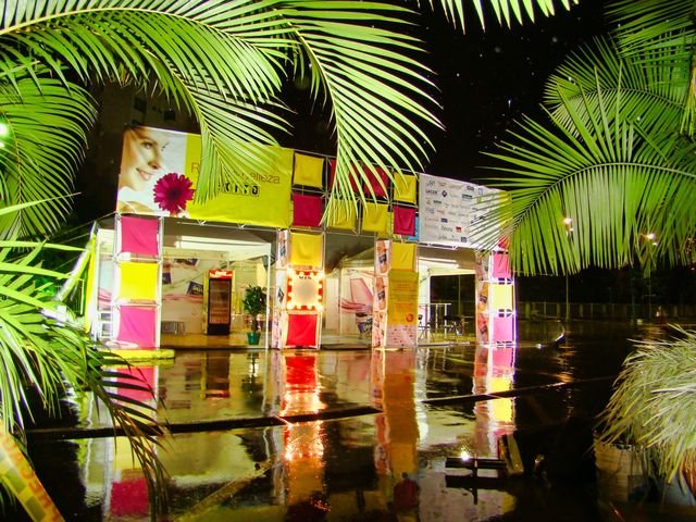 Mesa surtida con frutas tropicales variadas